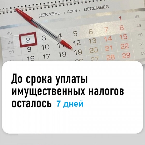 Управление напоминает: до окончания срока уплаты имущественных налогов остается всего неделя.