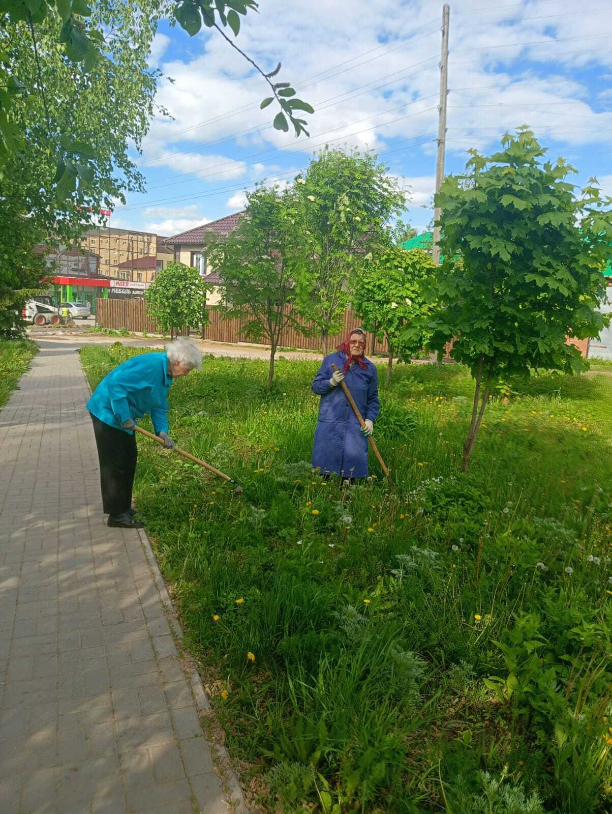 Совет ветеранов систематически организует и проводит субботники ..