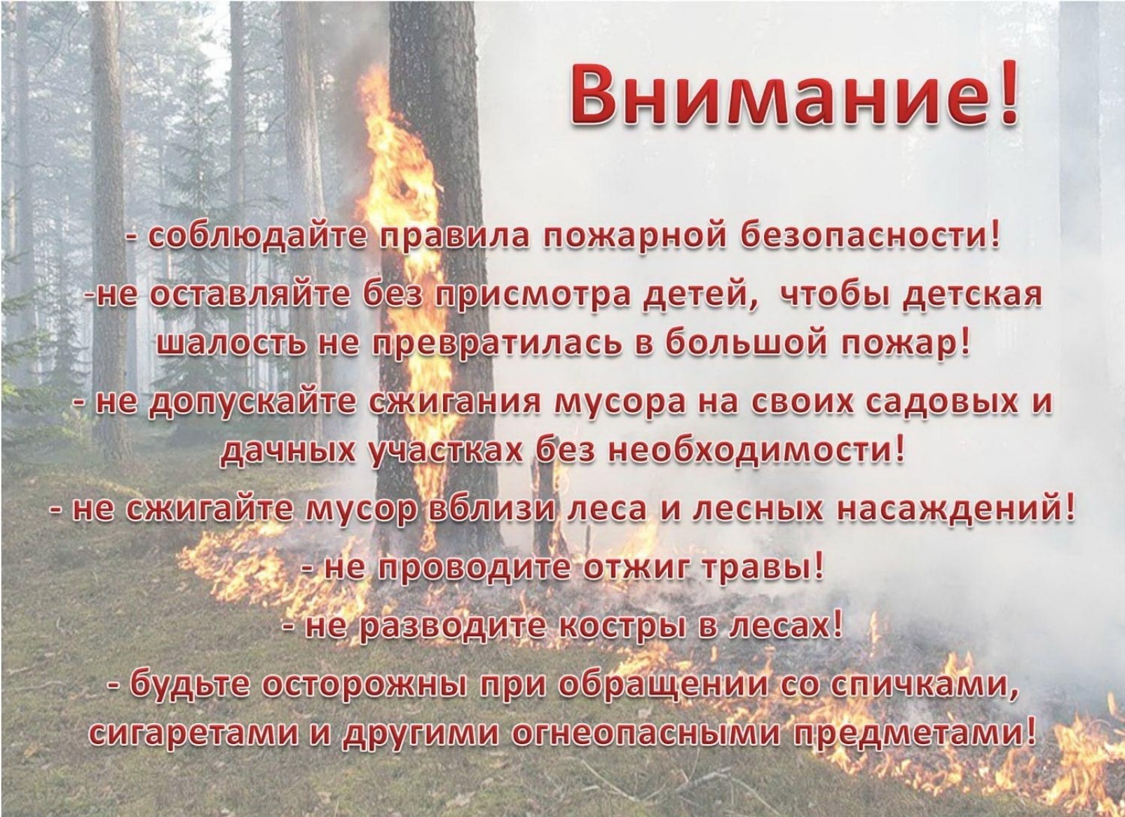 Внимание!.
