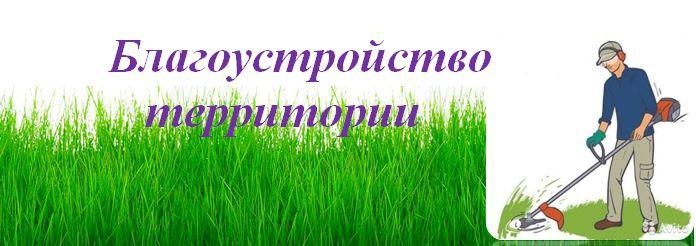 Принять меры по скашиванию травы и благоустройству территорий..