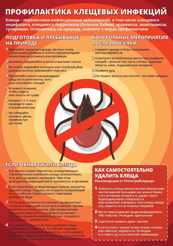 Профилактика клещевых инфекций..