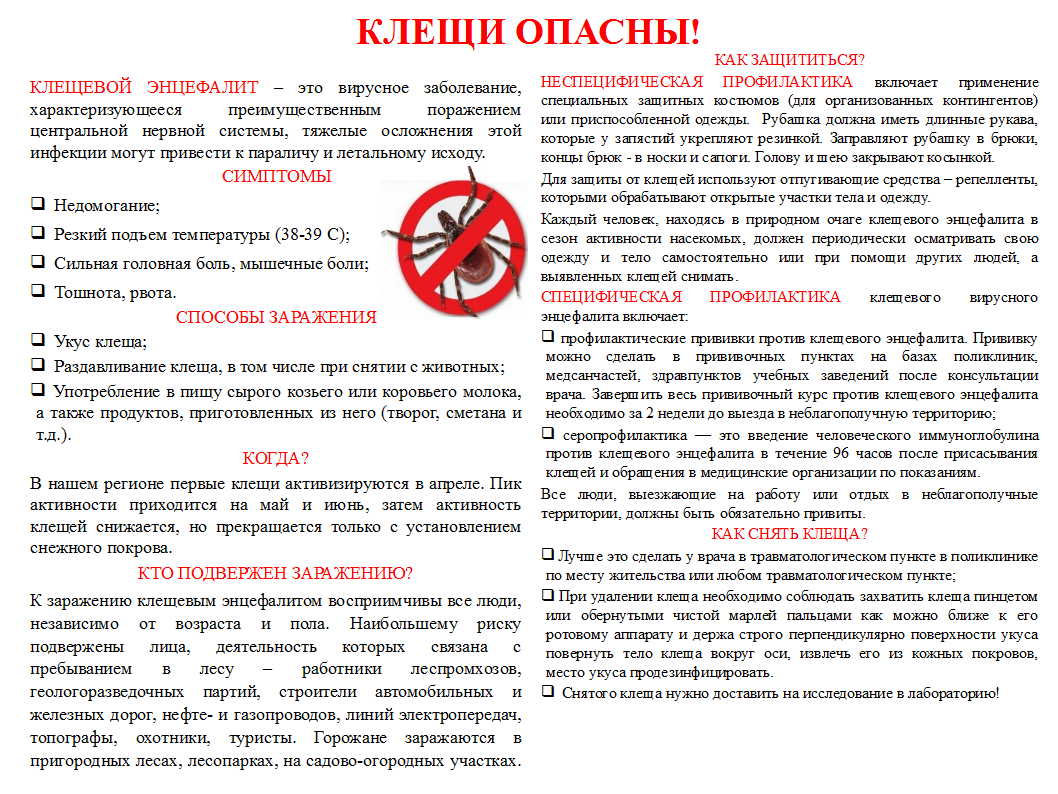 Профилактика от укуса клеща.