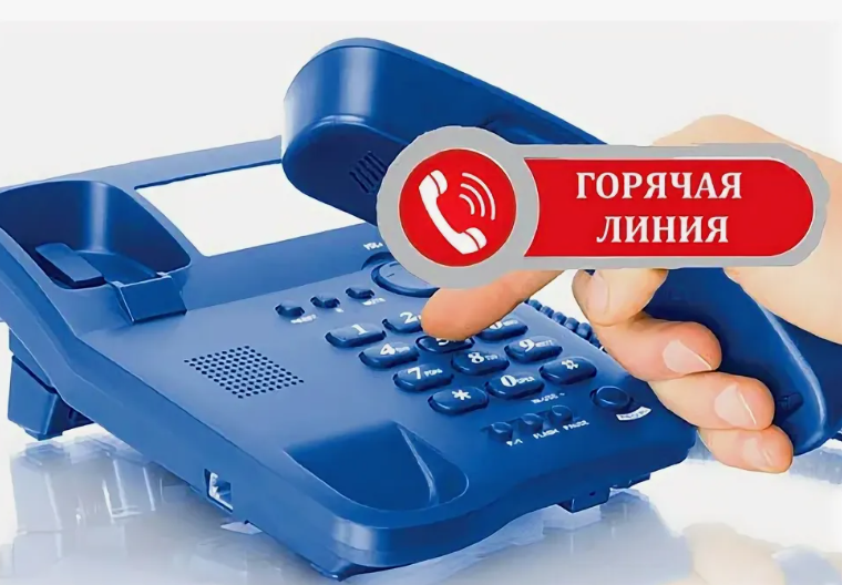 Горячая линия..