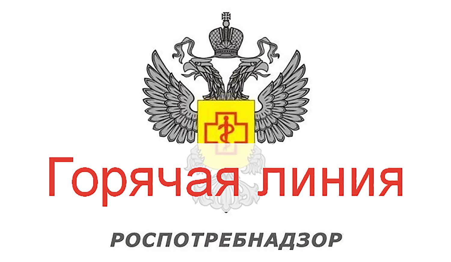 Управления Роспотребнадзора по Кировской области в Вятскополянском районе информирует о проведении тематической «горячей линии»