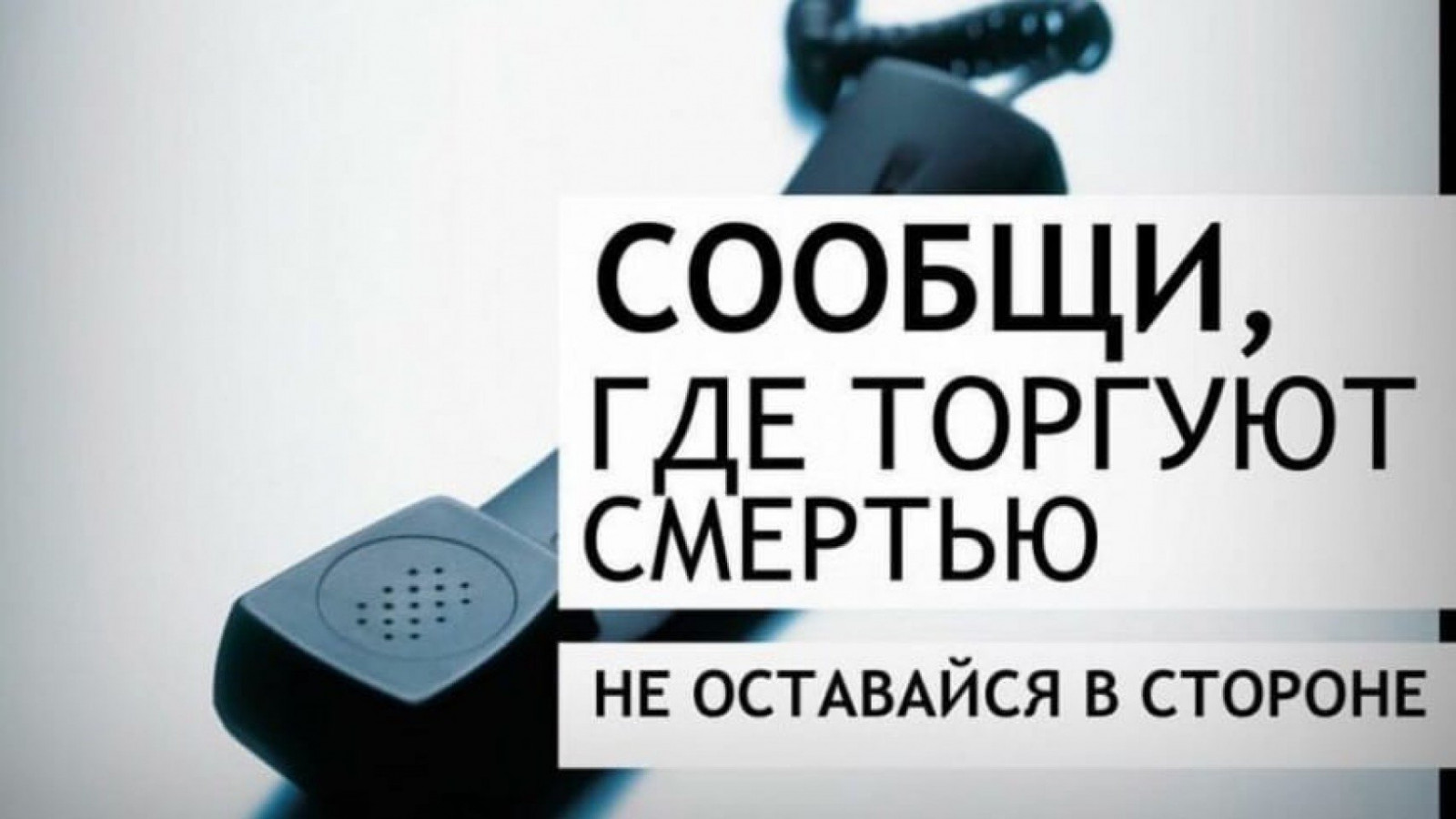 На территории Кировской области в период с 14.10.2024 по 25.10.2024 будет проводиться второй этап антинаркотической акции «Сообщи, где торгуют смертью!».