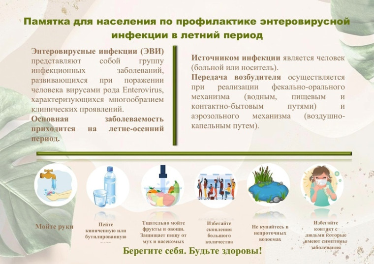 Профилактика энтеровирусной инфекции. Профилактика энтеровирусной инфекции.