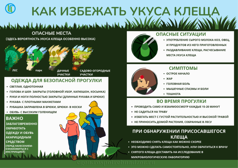 Как избежать укуса клеща. Как избежать укуса клеща.